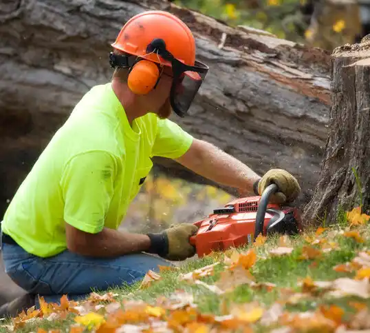 tree services Presidential Lakes Estates